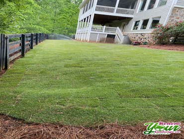 Photos by Renew Your Landscape LLC #9