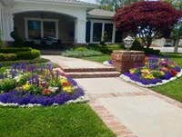 Photos from DC Landscapes