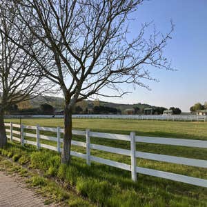 Photos by Fence Fort Collins #1