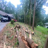 Photos by Cabral Tree & Construction Inc #5