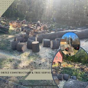 Photos by Ortez Construction & Tree Services Inc #6