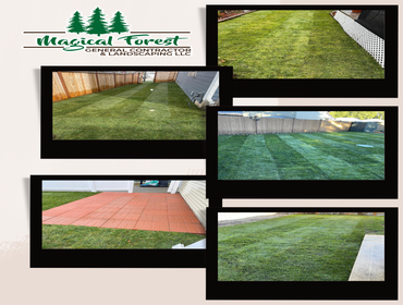 Photos by Magical Forest General Contractor & Landscaping LLC #12