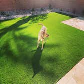Simply Turf LLC