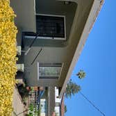 Photos by Ta Painting #1 On this house the paints was peeling ,we scraping, patch,primered with stop peeling then we painted with elastomeric paint