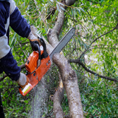 M&w Tree and Landscaping LLC