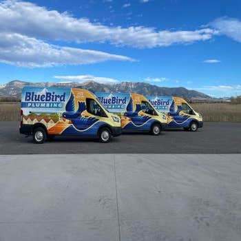 Bluebird plumbing