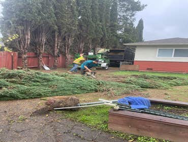 Photos by Ruiz Tree Service #2