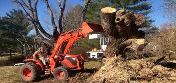 Men In Green | Tree Service