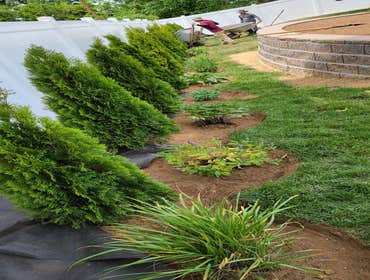Photos by Hernandez Lawn Care & Landscaping LLC #2