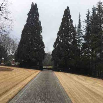 Photos by Duran Landscaping LLC #1