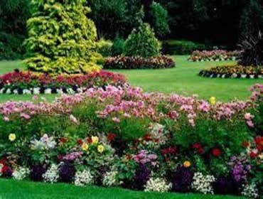 Photos from Green Thumb Landscaping