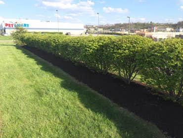 Photo(s) from Parrish Lawn Care And Landscaping
