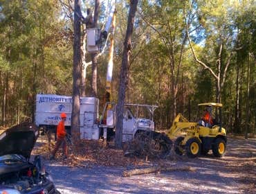 Photos by Authority Tree Service #1