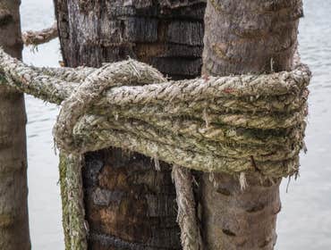 Photos by Top Tree Service Miami #1 tree service Miami , Miami tree service, tree service, tree service fl, fl tree service