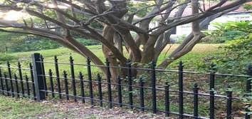 Iron Fencing