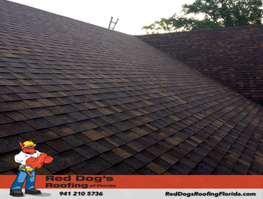 Photos by Red dog's Roofing of Florida #1