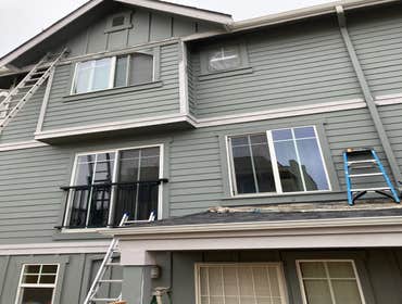 Photos by Services Quality Painting #1