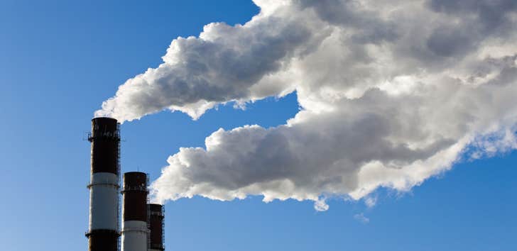 Smoke Damage Experts of Tree Town