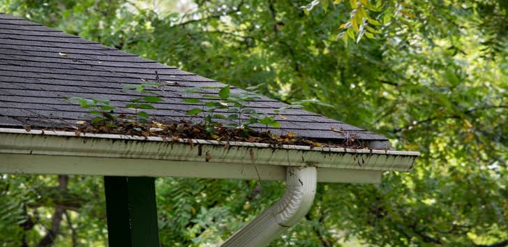 Grind City Gutter Solutions