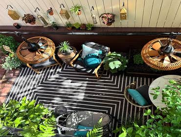 Photos by Rowhouse Growhouse #1