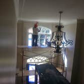 custom window trim