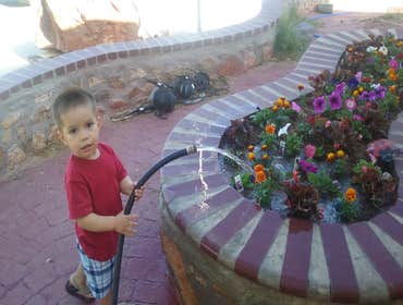 Flower Planters, Handsome Kid!