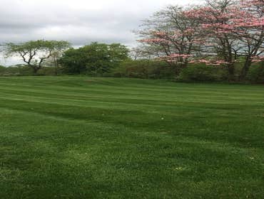 Grass cutting