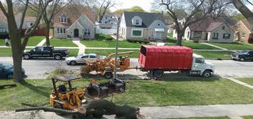 Photos by Tree and Snow Removal Service LLC #2