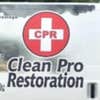 Clean Pro1 logo