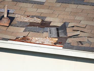 Photos from Storm Guard Restoration