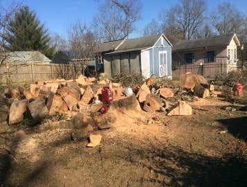 Photos by Don Cele Landscaping #1