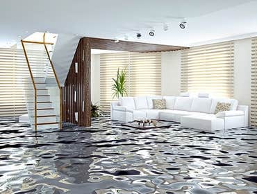Photos by TMP Restoration & Renovation Services #1