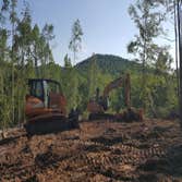 Bristow Tree Service