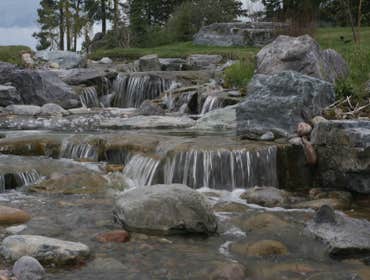 Photos by Avalon Aquatics Inc #2
