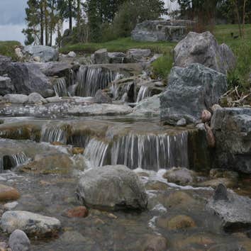 Photos by Avalon Aquatics Inc #2