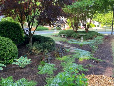 Perennial garden