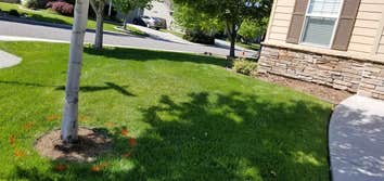 Photos by Vm General Landscaping and Lawn Care LLC #2