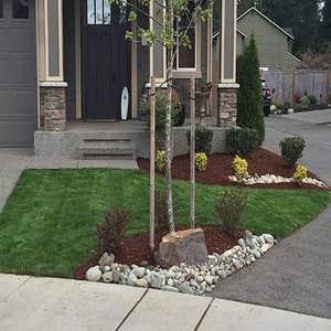 Photos from Newport Landscape Services LLC