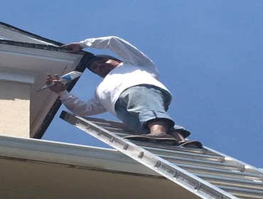 Profecional interior painting