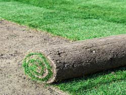 Photos by John Ideal Lawn and Landscapes #1