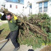 L.A. Tree Service Creative Corp