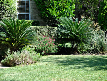 Landscaping and lawn maintenance