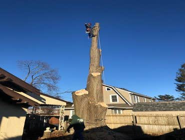 Photos by J Tree Service LLC #1
