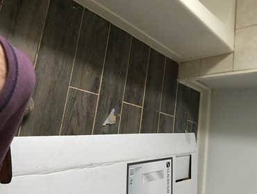 Photos from Luxe Development Group Inc