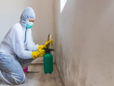 Photos by King Frederick Mold Removal Experts #1