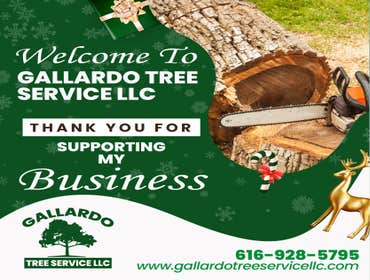 Photos by Gallardo Tree Service LLC #5