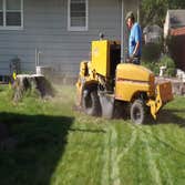 Paul's stump removal