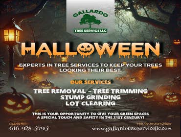 Photos by Gallardo Tree Service LLC #9