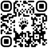 Bear Remodeling Inc
