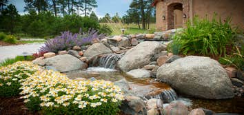 Photos by Landscape Fx, Inc #1